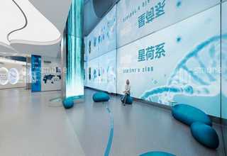 新邵什么是自流平有哪些